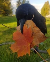 9FE91A53-D084-4917-9068-7BA7DF0E00A1.jpeg