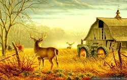 Fall Deer.jpg