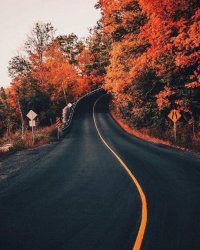 43CE473E-9B40-4F30-8AC1-6C66F4002E53.jpeg