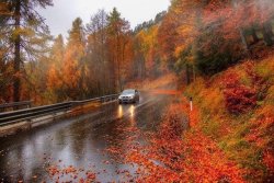 7D81B11C-9628-40F8-AD3A-B4CF65F1C2D2.jpeg