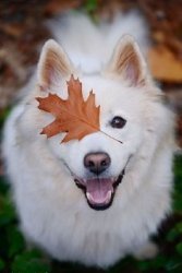 83EAE1ED-A05E-42F0-B0C6-64E869D51BE7.jpeg