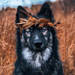 9B722E50-37BD-4DF7-A662-6943C8AB36B7.jpeg