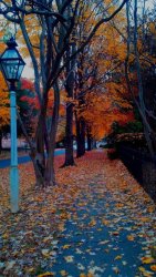 4AB43AC6-AACD-44D4-8861-8DF220BA3396.jpeg
