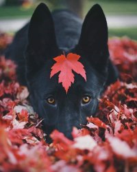 5EA9F5A8-56B8-4CA6-ACD8-E562F0A81001.jpeg
