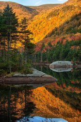 B44E2B9F-7265-47F5-BB0E-E45594BC42BA.jpeg