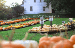 Armstrongs-Farm-Pownal-Shires-of-Vermont.gif