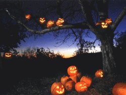 D90EBF30-D9C1-471B-A867-8729B566031C.gif