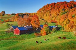 Jenne-Farm-Vermont-600x400.jpg