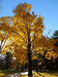 DSCF6290.JPG