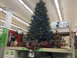 615D03E9-AD9C-406D-8333-B80E942FD8C7.jpeg