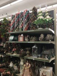 C5F60322-373C-488E-8A20-D055314E38C0.jpeg