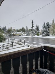 20190929_101457.jpg