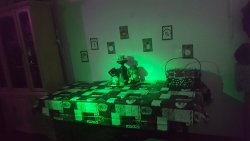 20190928_150612.jpg