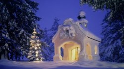winter - online 2.JPG
