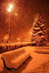7BF9120C-B740-42AD-8CF7-5BCA178A5D08.jpeg