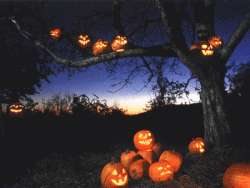 848B43E9-9C84-4647-B215-208F5C993FA8.gif