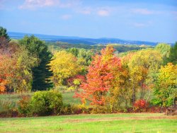 Autumn Day in Harvard MA.jpg