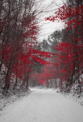 2B32A7FF-A54D-4176-803C-C63369D72B78.jpeg