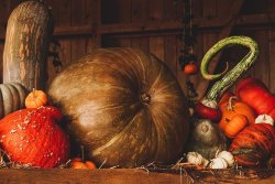 still-life-3698130__480.jpg