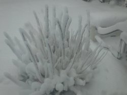 DSCF5180.JPG