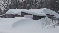 woodford.jpg