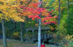 Ashby State Park 8.JPG