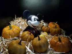 MMPumpkins.jpg