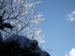 DSCF4747.JPG