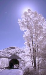 9D8130EA-AA95-4056-A67D-2FC5FA2DD0D9.jpeg