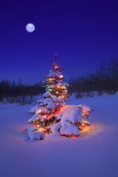 1A3E164B-1AAC-4E4C-BD65-27187CA57603.jpeg