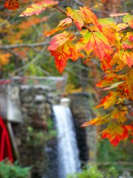 100_9054e.jpg
