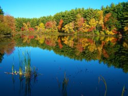 Autumn reflection  Chelmsford, MA  4.JPG