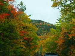 DSCF7381.JPG