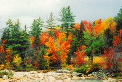 Autumns Glory  Conway NH.jpg
