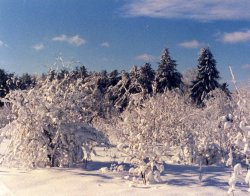 img477e.jpg