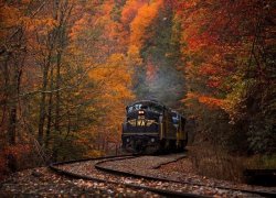 9550598C-F115-4B56-880F-6E6F97789D0C.jpeg
