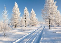 winter - 32.jpg