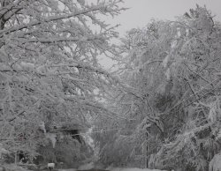 blizzard 2018.JPG