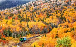 autumn 50.jpg