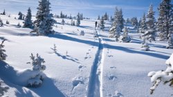winter 62.jpg