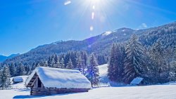 winter pic 2.jpg