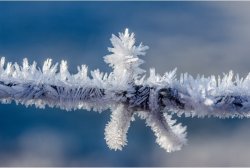 winter - 30.jpg