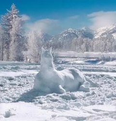 winter 6.jpg