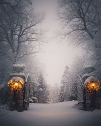 FDADABB4-A5E7-4AA4-84AB-A3AC4644A8AF.jpeg