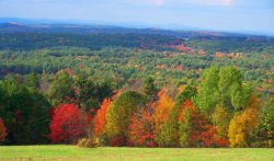 Natures Beauty 2 Harvard MA.JPG