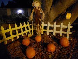 scarecrow.jpg