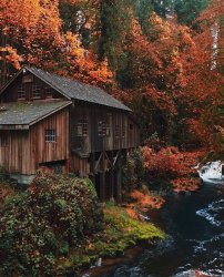 8F1FED1D-D642-4243-AF2A-EFECA3951E05.jpeg