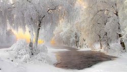 winter - 13.jpg