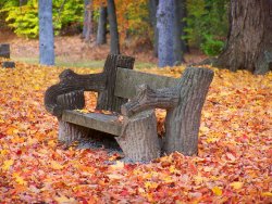 fall - fav 5.JPG
