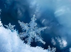 winter - 34.jpg